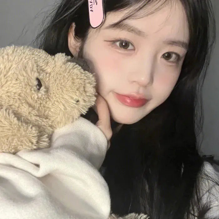 巅峰拍档第二十三季